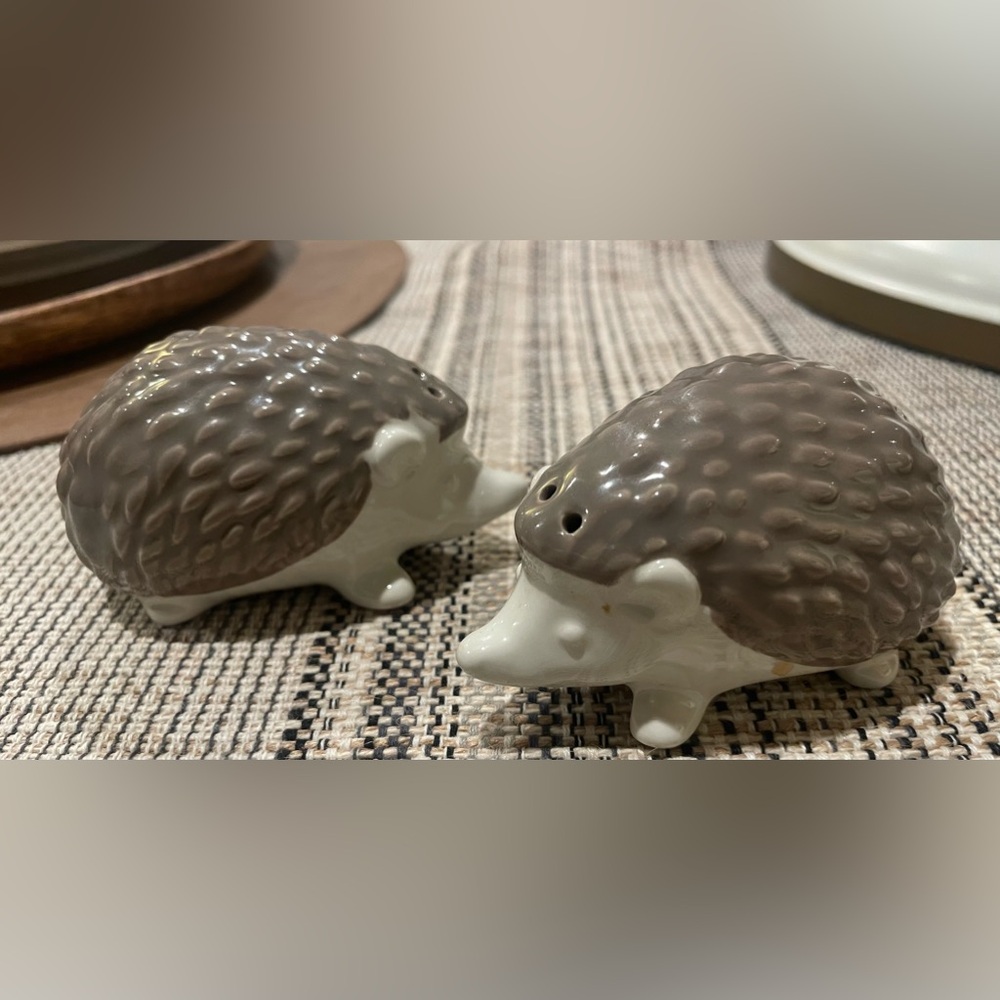 Adorable Hedgehog Stoneware Salt and Pepper Shakers